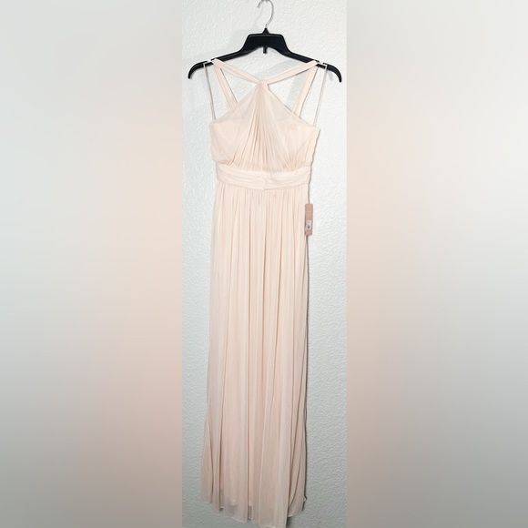 NWT Birdy Grey Kiko Dress in Mesh Pale Blush - Picture 3 of 5
